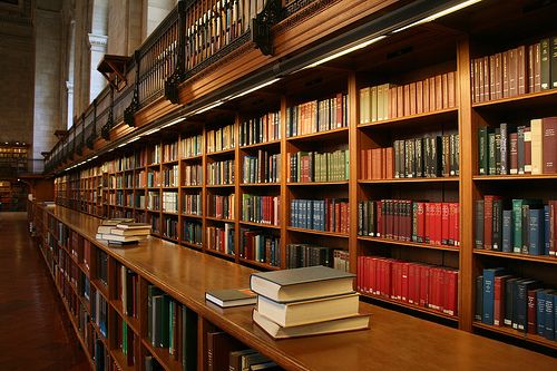 Biblioteca FENFMP